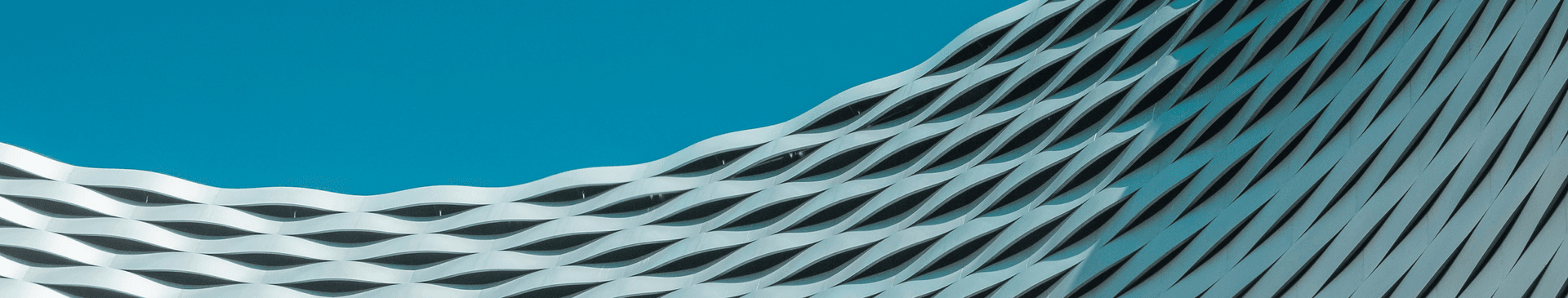 maarten-deckers-T5nXYXCf50I-unsplash 2.png